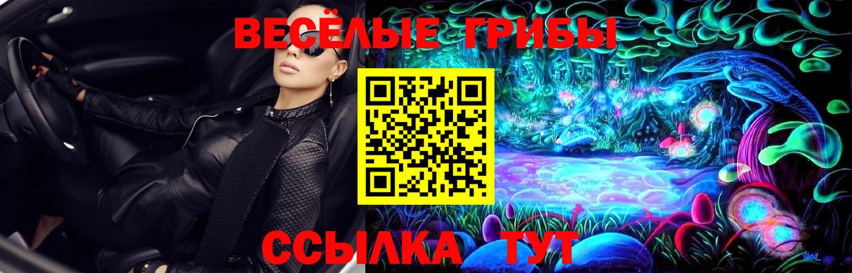 Псилоцибиновые грибы ЛСД Новочебоксарск